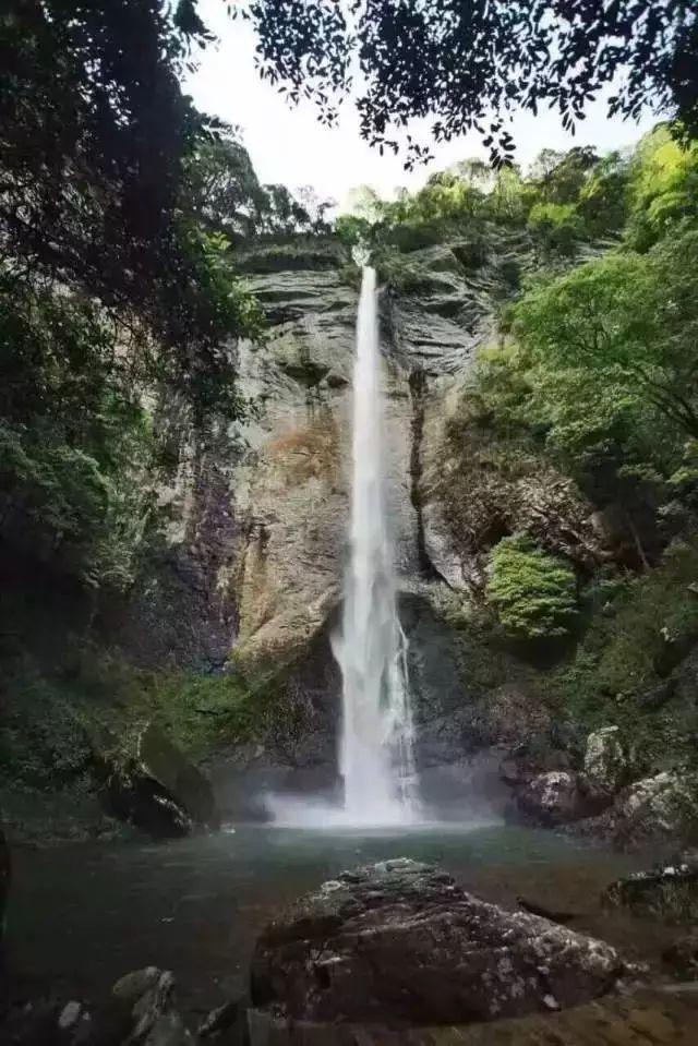 救援度假的法官